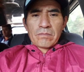 fermin melchor, 53 года, Lima