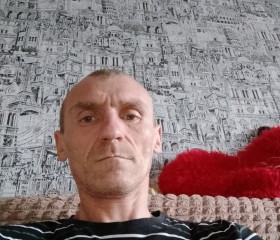 Дмитрий, 44 года, Узловая