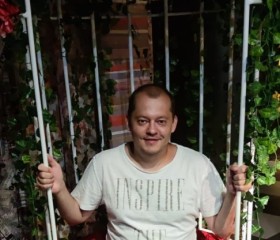 Андрей, 39 лет, Краснодар