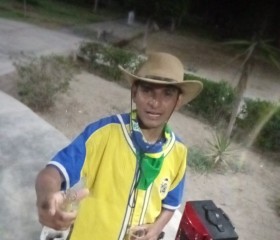 Carlos, 38 лет, Chiclayo