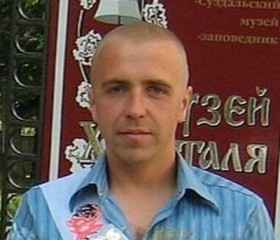 Дмитрий, 42 года, Гусь-Хрустальный