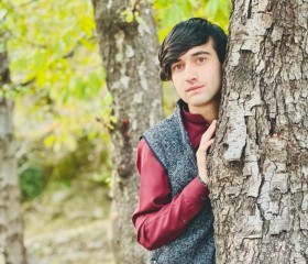 Hamim khan, 19 лет, Washington D.C.