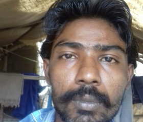 Amar, 29 лет, Kundla