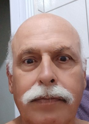 Cachorrao из Itajaí 62 года