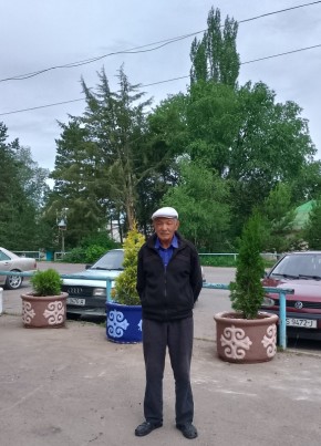 Курман, 72, Кыргыз Республикасы, Бишкек