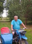 Петрович, 54 года, Москва