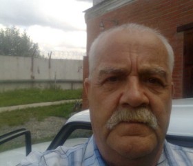 Анатолий, 68 лет, Озёрск (Челябинская обл.)