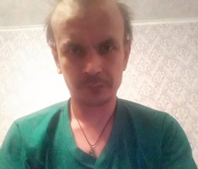 Владимир, 43 года, Белоомут