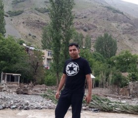 Hamiwolf, 35, Tehran