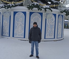 Сергей Некрасов, 40 лет, Воронеж