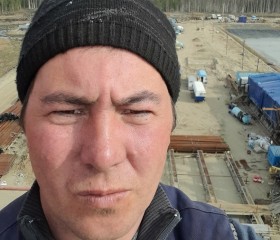 Антон Гаврилов, 39 лет, Томск