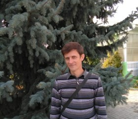 Анатолий, 45 лет, Каменск-Шахтинский
