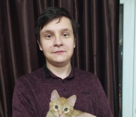 Федор Васин, 28 лет, Москва