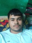 Pankaj Rajpoot, 37 лет, Agra