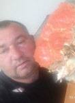 Андрей, 47 лет, Углегорск