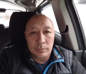 Аскар , 54 года, Toshkent