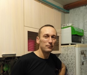Виктор, 47 лет, Брянка