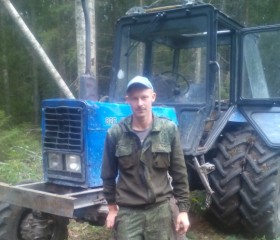 Алексей, 31 год, Орёл