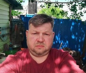 Роман Мацнев, 42 года, Курск