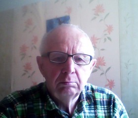николай, 74 года, Челябинск