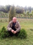 Анатолий, 41 год, Ульяновск