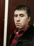 Мехровар, 28 лет, Красноярск