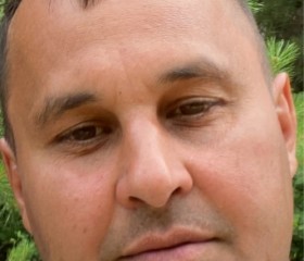 Stepa, 46, Kandry