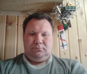 Юрий Сидоров, 48 лет, Окуловка