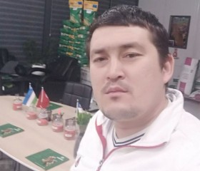 Дима, 31 год, Toshkent