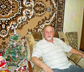 vladimir, 74 года, Новотроицк
