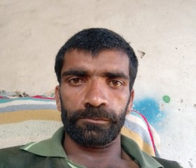 All of them, 26, Arifwala