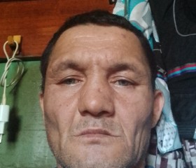 Саша, 49 лет, Петропавловск-Камчатский
