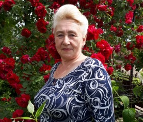 Галина, 68 лет, Кинешма