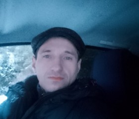 Дмитрий, 42 года, Камбарка
