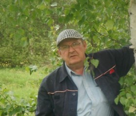 Леонид, 67 лет, Ухта