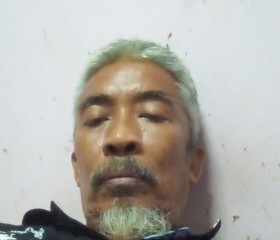 Suriasam, 56 лет, Klang