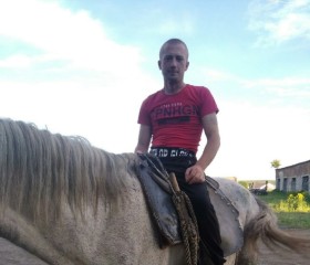 Владимир, 32 года, Барнаул