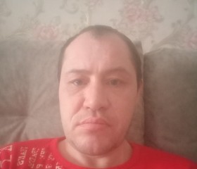 Виталий, 43 года, Пермь