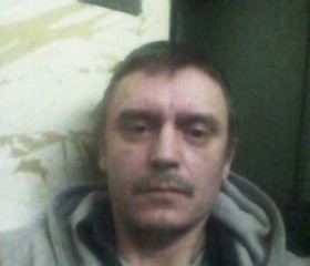 Михаил Анохин, 45 лет, Воркута