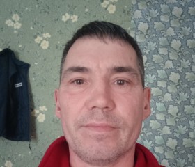 Андрей Накиев, 48 лет, Калинкавичы