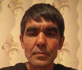 Анатолий, 43 года, Воронеж