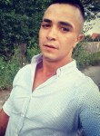 Florin, 27 лет, Oradea