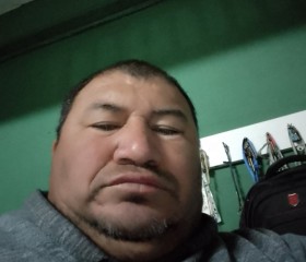 Silvio, 49, Reconquista
