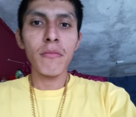 Francisco, 25, Guadalupe (Nuevo Leon)
