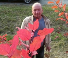 Петр Прокопьев, 55 лет, Успенское