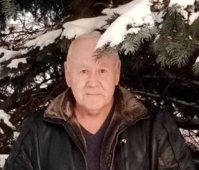 Вячеслав, 66 лет, Ульяновск