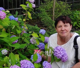 Tatyana, 61, Kerch