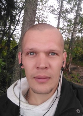 Denis, 36, Россия, Выборг