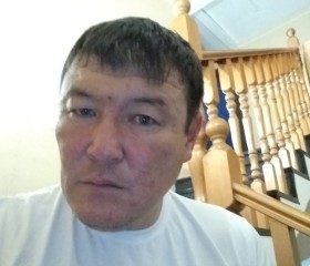 Сергей, 44 года, Палласовка