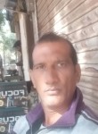 Anilkaurav, 44 года, Gwalior